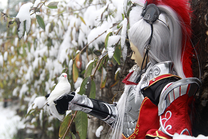 BJD SD 人偶 娃娃 BJD古风 BJD三分